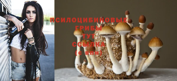 Альфа ПВП Навашино