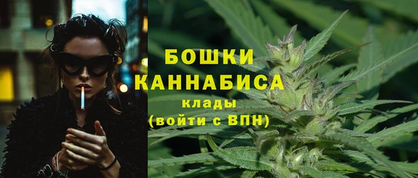 apvp Надым