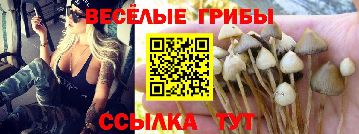 Чебаркуль  Галлюциногенные грибы GOLDEN TEACHER  Вход с VPN 